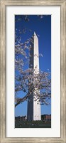 Cherry Blossom in front of an obelisk, Washington Monument, Washington DC, USA Fine Art Print