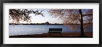 Park bench with a memorial in the background, Jefferson Memorial, Tidal Basin, Potomac River, Washington DC, USA Fine Art Print