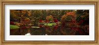 Reflection of trees in water, Japanese Tea Garden, Golden Gate Park, Asian Art Museum, San Francisco, California, USA Fine Art Print