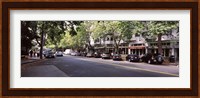Cars parked at the roadside, College Avenue, Claremont, Oakland, Alameda County, California, USA Fine Art Print