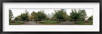 360 degree view of a public park, Battery Park, Manhattan, New York City, New York State, USA Fine Art Print