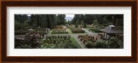 Tourists in a rose garden, International Rose Test Garden, Washington Park, Portland, Multnomah County, Oregon, USA Fine Art Print