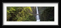 Waterfall in a forest, Multnomah Falls, Columbia River Gorge, Portland, Multnomah County, Oregon, USA Fine Art Print