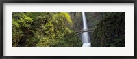 Waterfall in a forest, Multnomah Falls, Columbia River Gorge, Portland, Multnomah County, Oregon, USA Framed Print