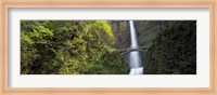 Waterfall in a forest, Multnomah Falls, Columbia River Gorge, Portland, Multnomah County, Oregon, USA Fine Art Print