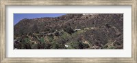 Hollywood Hills, Hollywood, California Fine Art Print