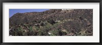 Hollywood Hills, Hollywood, California Fine Art Print