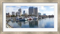 Fishing boats docked at a marina, San Diego, California, USA Fine Art Print
