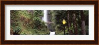 Multnomah Falls, Hood River, Columbia River Gorge, Oregon Fine Art Print