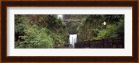 Waterfall in a forest, Multnomah Falls, Hood River, Columbia River Gorge, Oregon Fine Art Print