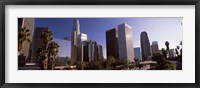 Palm trees and skyscrapers in a city, City Of Los Angeles, Los Angeles County, California, USA Fine Art Print