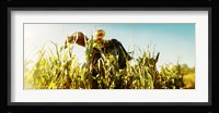 Scarecrow in a corn field, Queens County Farm, Queens, New York City, New York State, USA Fine Art Print