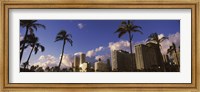 Low angle view of skyscrapers, Honolulu, Hawaii, USA 2010 Fine Art Print