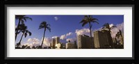 Low angle view of skyscrapers, Honolulu, Hawaii, USA 2010 Fine Art Print