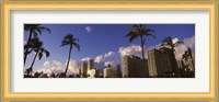 Low angle view of skyscrapers, Honolulu, Hawaii, USA 2010 Fine Art Print