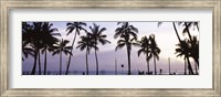 Palm trees on the beach, Waikiki, Honolulu, Oahu, Hawaii (black and white) Fine Art Print