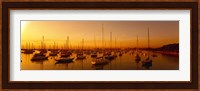 Boats moored at a harbor at dusk, Chicago River, Chicago, Cook County, Illinois, USA Fine Art Print