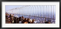 Tourists at an observation point, Empire State Building, Manhattan, New York City, New York State, USA Fine Art Print