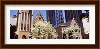 Trees in front of a building, Charlotte, Mecklenburg County, North Carolina, USA Fine Art Print