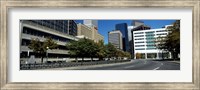 Buildings in a city, Downtown Denver, Denver, Colorado, USA Fine Art Print