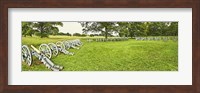Cannons in a park, Valley Forge National Historic Park, Philadelphia, Pennsylvania, USA Fine Art Print
