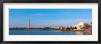 Cherry blossoms at the Tidal Basin, Jefferson Memorial, Washington Monument, National Mall, Washington DC, USA Fine Art Print