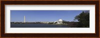 Cherry blossom buds at Tidal Basin, Jefferson Memorial, Washington Monument, National Mall, Washington DC, USA Fine Art Print