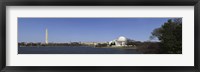 Cherry blossom buds at Tidal Basin, Jefferson Memorial, Washington Monument, National Mall, Washington DC, USA Fine Art Print