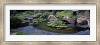 Japanese Garden, University of California, Los Angeles Fine Art Print