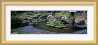 Japanese Garden, University of California, Los Angeles Fine Art Print