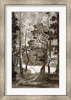 A Path Leading into a Forest Clearing Fine Art Print