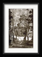 A Path Leading into a Forest Clearing Fine Art Print
