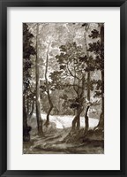 A Path Leading into a Forest Clearing Fine Art Print