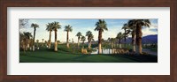 Palm trees in a golf course, Desert Springs Golf Course, Palm Springs, Riverside County, California, USA Fine Art Print