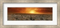 Sunset over a desert, Palm Springs, California, USA Fine Art Print