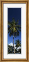 USA, US Virgin Islands, Saint Thomas Fine Art Print