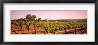 Sattui Winery, Napa Valley, California, USA Fine Art Print