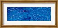 Woman in swimming pool Fine Art Print