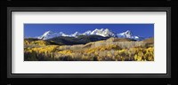 USA, Colorado, Rocky Mountains, aspens, autumn Fine Art Print