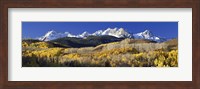 USA, Colorado, Rocky Mountains, aspens, autumn Fine Art Print