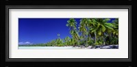 Beach With Palm Trees, Bora Bora, Tahiti Fine Art Print