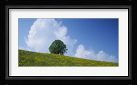 Green Hill w/ flowers & tree Canton Zug Switzerland Fine Art Print