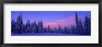 Forest In Winter, Dalarna, Sweden Fine Art Print