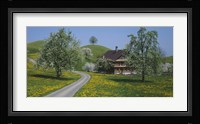 A road through Zug, Switzerland Fine Art Print
