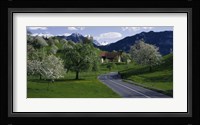 Switzerland, Luzern, trees, road Fine Art Print