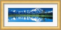 Mt McKinley and Wonder Lake Denali National Park AK Fine Art Print