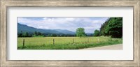 Road Along A Grass Field, Cades Cove, Great Smoky Mountains National Park, Tennessee, USA Fine Art Print