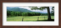 Meadow Surrounded By Barbed Wire Fence, Cades Cove, Great Smoky Mountains National Park, Tennessee, USA Fine Art Print