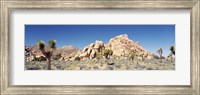Rock Formation In A Arid Landscape, Joshua Tree National Monument, California, USA Fine Art Print