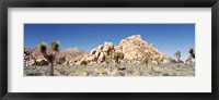 Rock Formation In A Arid Landscape, Joshua Tree National Monument, California, USA Fine Art Print